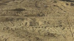 Chiến trường sa mạc Palmyra