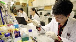 14% chi phí nghiên cứu khoa học dùng cho công tác phí, hội nghị, hội thảo.Ảnh minh họa.