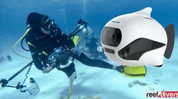 Biki robot Trung Quốc