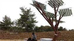 Cây điện "eTree" sản phẩm công nghệ số của công ty Sol-logic , Israel