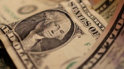 Những đồng dollar - ảnh minh họa Sputnik