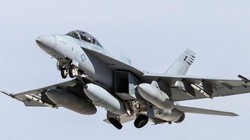 Hệ thống cảm biến hồng ngoại IRST21 trên F / A-18E / F Super Hornet. Ảnh MilitaryLeak