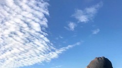 Một xạ thủ bắn tỉa người Kurd thuộc lực lượng YPG.