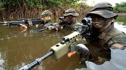 Lực lượng đặc nhiệm Hải quân Hoàng gia Anh. Ảnh minh họa: Daily Mail.