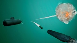 Mô phỏng ngư lôi chống ngư lôi ATT SeaSpider của Đức. Ảnh: ATLAS ELEKTRONIK GmbH.