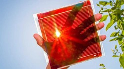 Pin điện mặt trời Perovskite. Ảnh minh họa SciTechDaily.