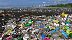 Ô nhiễm rác thải nhựa ven biển. Ảnh DW