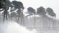 Emnotion sử dụng BigData và AI quản lý và dự báo các hiện tượng thời tiết bất thường. Ảnh Emnotion,