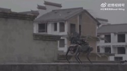 UAV vận chuyển chó robot trang bị vũ khí lên nóc một tòa nhà. Video Republic World.