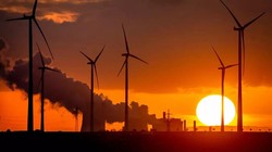 Tuabin điện gió giúp hấp thụ khí CO2 từ khí quyển. Ảnh EuroNews