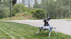 Chó robot, được AI huấn luyện thực hiện các động tác phức tạp. Ảnh The New Scientist