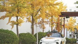 Một xe robotaxi chạy thử nghiệm trên đường phố Bắc Kinh. Ảnh Tân Hoa Xã