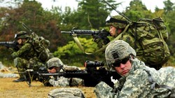 Quân đội hai nước đồng minh Mỹ - Nhật Bản.