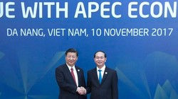 Chủ tịch nước Trần Đại Quang chào đón Chủ tịch Trung Quốc Tập Cận Bình tham dự APEC 2017 tại Đà Nẵng. Ảnh: Xinhuanet.