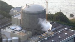 Nhà máy điện hạt nhân Nhật Bản. Ảnh: Sina.