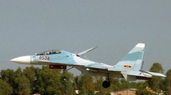 Máy bay chiến đấu đa dụng Su-30MK2V của không quân Việt Nam. Ảnh: Chinanews.