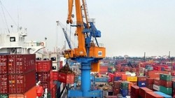 Việt Nam nên tận dụng cơ hội từ chiến tranh thương mại Trung - Mỹ, tăng cường xuất khẩu hàng hóa sang thị trường Mỹ. 