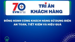 Điện lực Hà Nội triển khai chương trình tháng tri ân khách hàng
