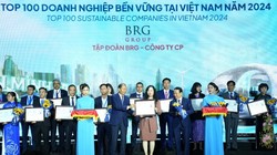 Tập đoàn BRG lần thứ tư liên tiếp được vinh danh "Doanh nghiệp bền vững Việt Nam"