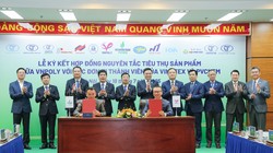 Petrovietnam - VINATEX tạo sự bền vững trong chuỗi cung ứng “hóa chất - xơ sợi - dệt may”