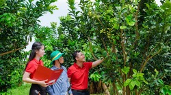 Agribank tích cực hỗ trợ hộ kinh doanh chuyển đổi thành doanh nghiệp