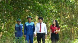 Agribank - Cầu nối chiến lược đưa tín chỉ carbon Việt Nam vươn ra thị trường quốc tế