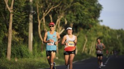 HDBank Green Marathon 2025 mùa thứ tư: Hành trình “xanh” sôi động và đầy mới mẻ 