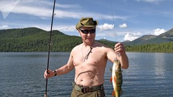Ông Putin cởi trần đi câu cá trong rừng taiga
