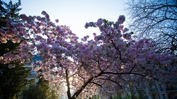 "Ánh sáng làm nên nhiếp ảnh. Hãy trân trọng nó, chiêm ngưỡng nó và đặc biệt là yêu nó. Nếu muốn chụp một bức ảnh đẹp, hãy biết giá trị của ánh sáng đó như thế nào, đó chính là chìa khoá." - George Eastman.