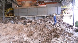 Ảnh minh họa. Nguồn Internet