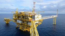 Ảnh minh họa. Nguồn Internet