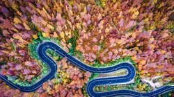 Một bức ảnh trong danh sách