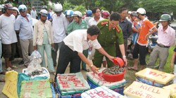 Ảnh minh họa. Nguồn Internet