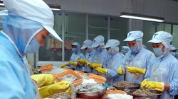 Ảnh minh họa. Nguồn Internet