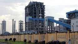 Ảnh minh họa. Nguồn Internet