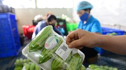 Ảnh minh họa. Nguồn Internet