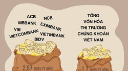 Tính đến hết năm 2016, số lượng tiền gửi của khách hàng tại 8 ngân hàng đã lên tới 2,57 triệu tỷ đồng. Đồ hoạ: Phượng Nguyễn.  