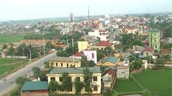 Ảnh minh họa, nguồn Internet