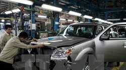 (Ảnh minh họa: Trần Việt/TTXVN)