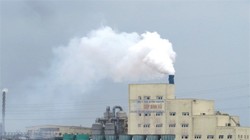 Ảnh minh họa. Nguồn Internet