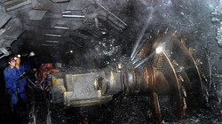 Ảnh minh họa. Nguồn Internet