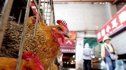 Ảnh minh họa. Nguồn Internet