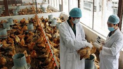 Ảnh minh họa. Nguồn Internet