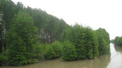 Ảnh minh họa. Nguồn Internet