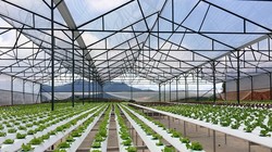 Ảnh minh họa. Nguồn Internet