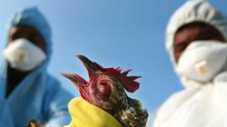 Ảnh minh họa. Nguồn Internet