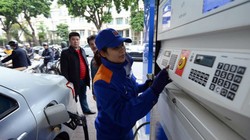 Ảnh minh họa. Nguồn Internet