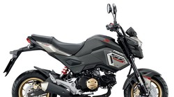 Honda MSX 125SF ABS 2017 có tùy chọn màu sơn đen/xám và đỏ trắng.