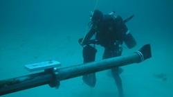 Ảnh minh họa. Nguồn Internet