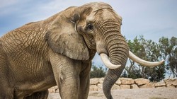 Ảnh minh họa. Nguồn Internet